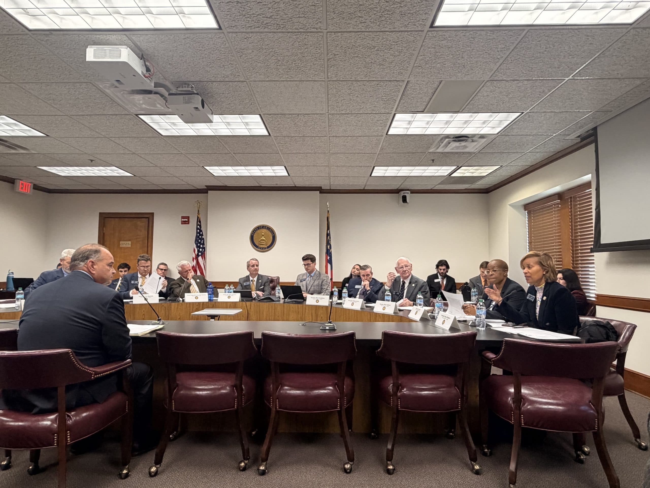 Georgia Senate Public Safety Committee holds Anti-squatting Act hearing